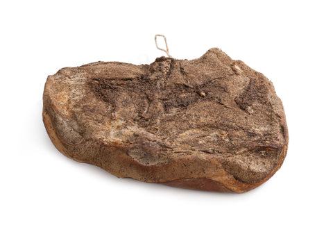 Lo Speck della Val di Fiemme