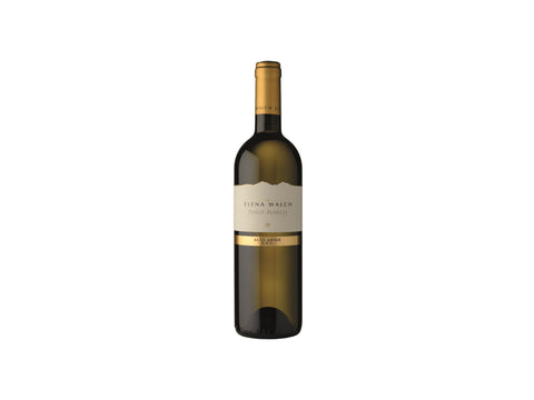 Weißwein Pinot Bianco Südtirol DOC