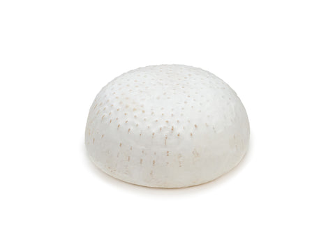Caciotta Ziegenweichkäse